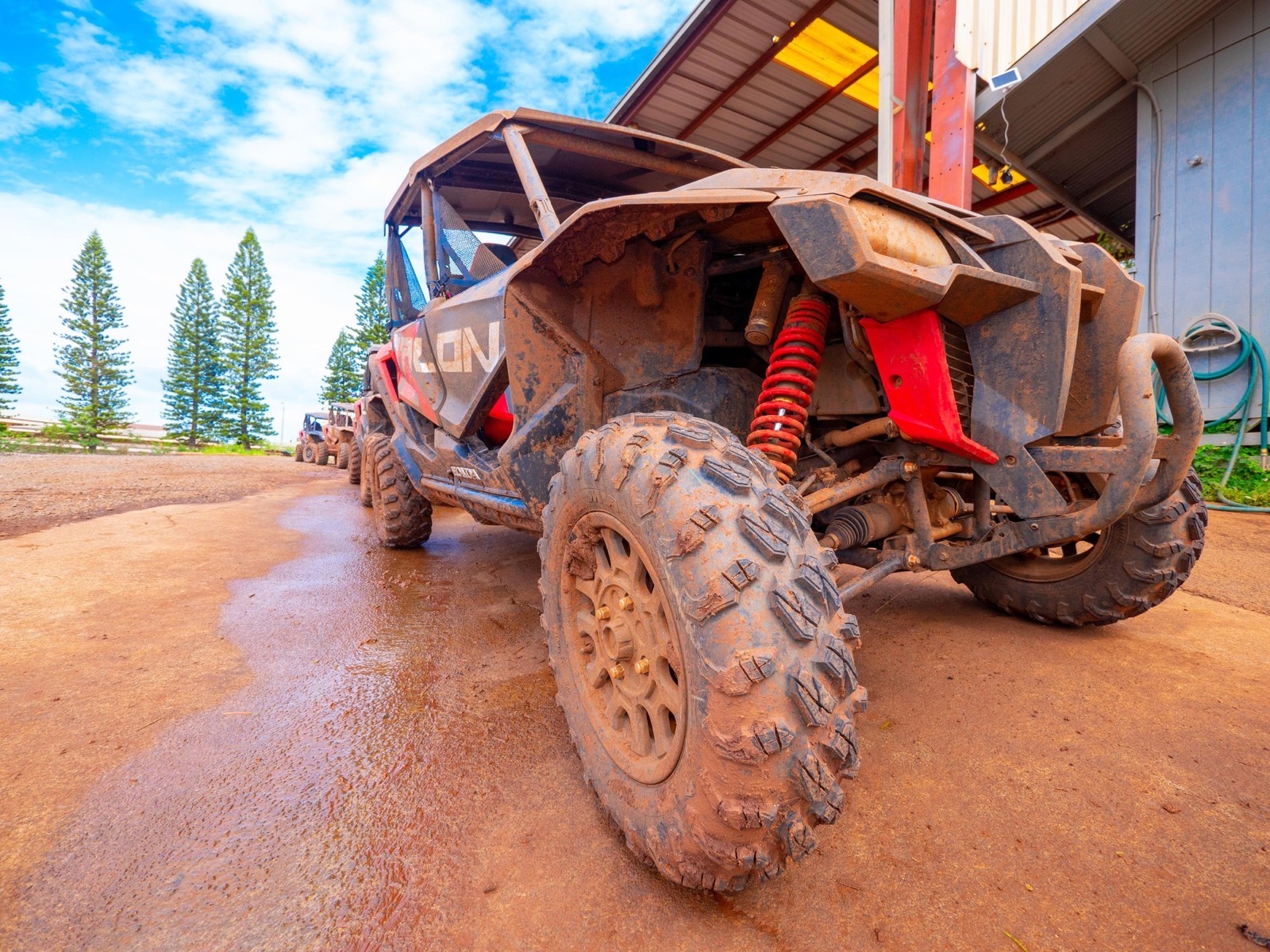 A close view of a muddy Honda side-by-side tire and red shock parked on wet red dirt beside tall Norfolk pines