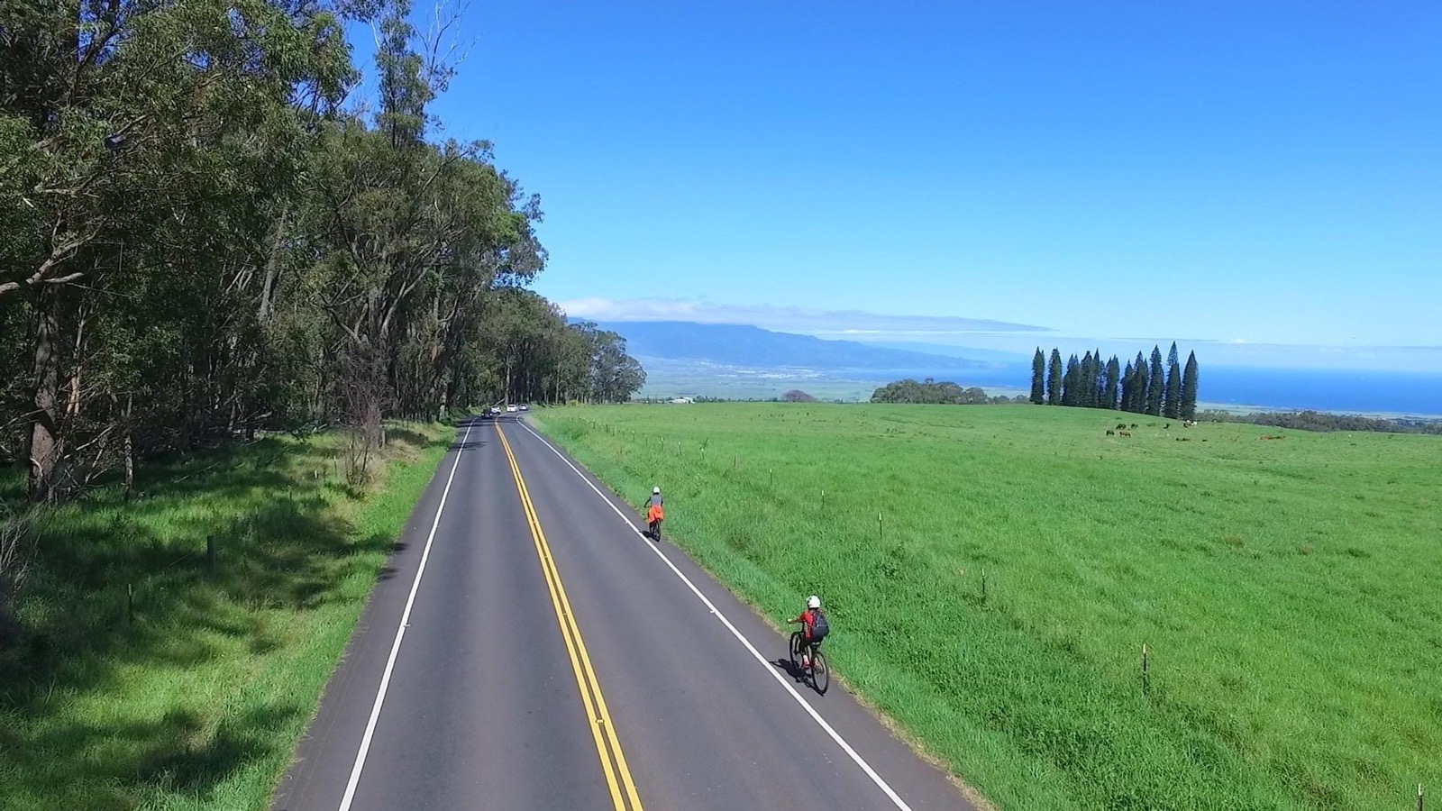 Two riders descend a road lined with eucalyptus trees, with a bright green ranch field and the blue Pacific far below